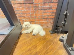 -NRG 健身私教CLUB(云山路店)