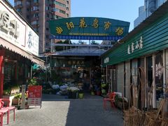 -曲阳花鸟市场(曲阳路店)