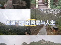 -大岭沟猕猴桃谷风景区