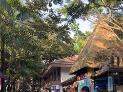 -海南分界洲岛旅游区