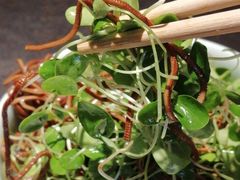 -辣尚瘾·烤鱼·新川菜(交大直营店)