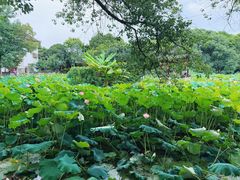 -丝绸小镇荻港古村
