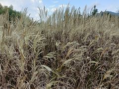 -宁波浙东大竹海景区