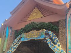-西双版纳原始森林公园