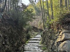 -宁波浙东大竹海景区