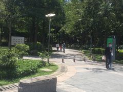 -火炉山森林公园