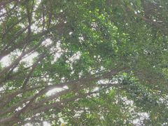 -福建师范大学(仓山校区)