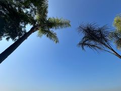 -鼓浪屿内厝澳码头(轮渡站)
