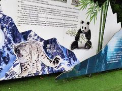 -西岭雪山大飞水景区