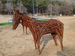 -北京西山国家森林公园