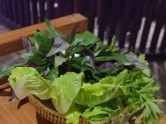 -巴奴毛肚火锅(九洲店)