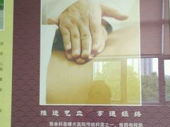 -上海中医药大学附属曙光医院(东部)