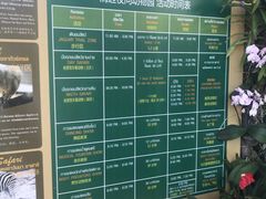 -清迈夜间动物园