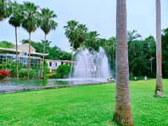 -中国科学院西双版纳热带植物园