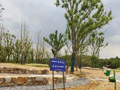 -盘龙城国家考古遗址公园