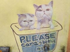 -槟城街头艺术街区