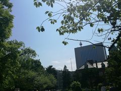 -北海道厅旧本厅舍(旧本庁舎)