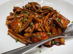-新吉士·上海菜(浦东LCM置汇旭辉店)
