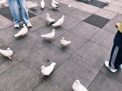 -江燕路万科里