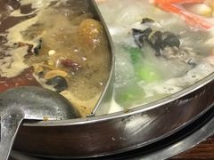 -肥婆麻辣火锅.顺德首创药材麻辣火锅(容桂店)