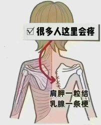 -名发世家烫染