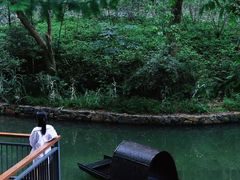 -东明山森林公园