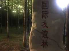 -武汉知音号