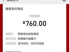 -佳怡动物医院·平价24小时·猫专科骨外科