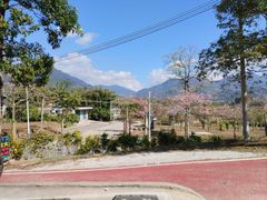-竹乡园柴火竹筒饭·烧鸡(白水寨*森林海店)
