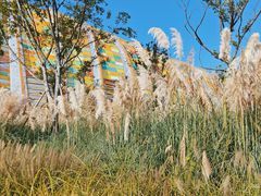 -中国天府农业博览园