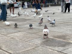 -重元寺香积厨素斋馆