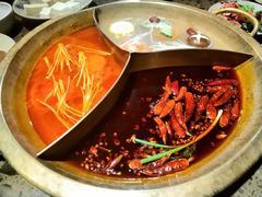 奔池锅-小龙坎老火锅(滨江店)