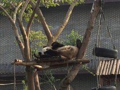 -仙芝竹尖生态园旅游景区