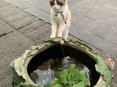 -郑三炮名小吃(公馆老街店)