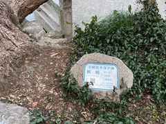 -汇龙潭