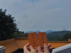 -深圳仙湖植物园
