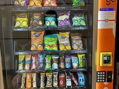 -蒙特利尔皮埃尔·埃利奥特·特鲁多国际机场