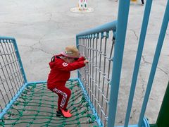 -大连铭湖国际观光牧场