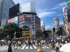 -涩谷区