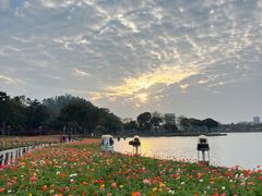 -顺峰山公园