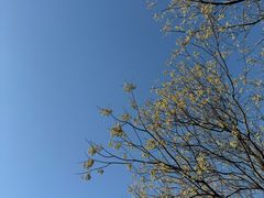 -洨河生态公园