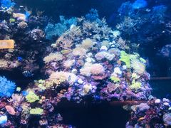 -海合安青岛极地海洋公园