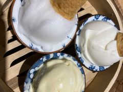 接骨木雪芭-歎雪糕低糖低脂Gelato冰淇淋