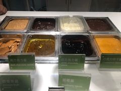 -Salud撒露欧洲冻酸奶(蓝色港湾店)