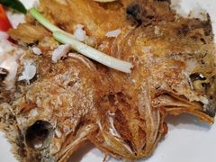 -海鲜e族(马王堆店)