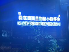 -西西里轰趴日租聚会别墅·团建拓展