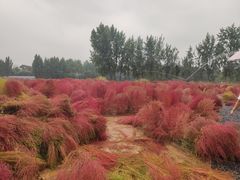 -汉长安城未央宫国家考古遗址公园