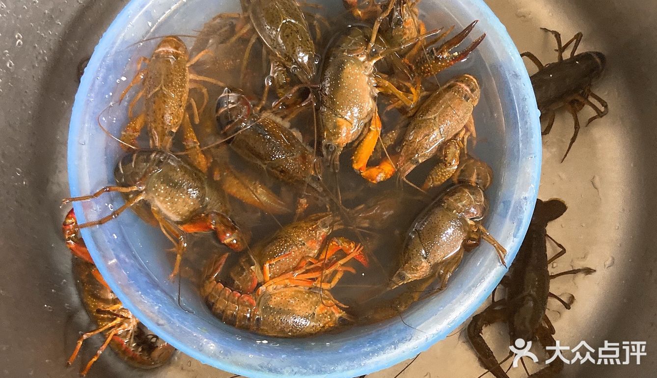 封了这么久终于可以买到小龙虾啦，迫不及待的想吃了
