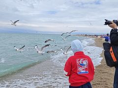 -青海湖国家重点风景名胜区