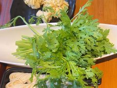 -手选潮汕鲜活牛肉火锅(二七广场店)